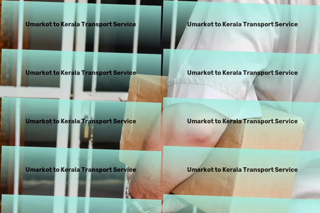 Umarkot to Kerala Transport Import export courier services