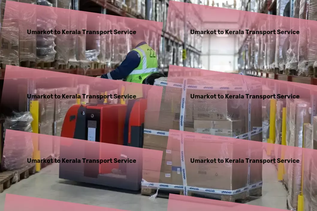 Umarkot to Kerala Transport Maximizing efficiency in goods distribution across India. - Cargo handling