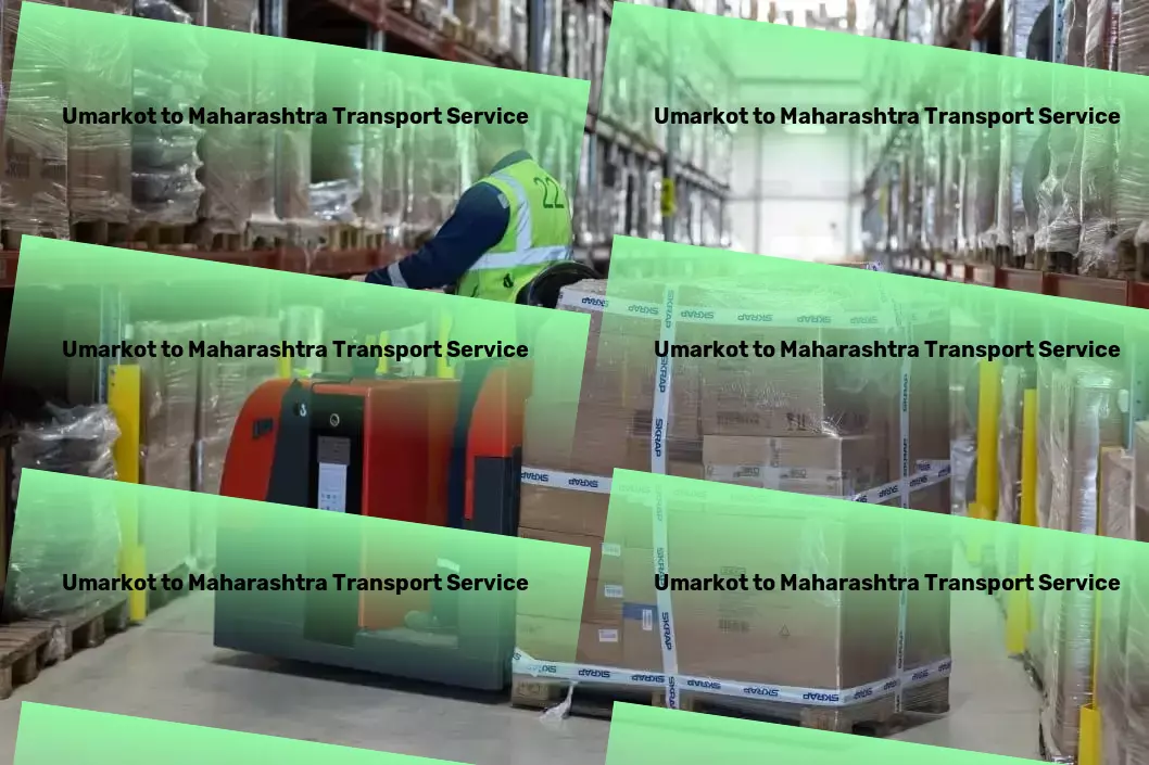 Umarkot to Maharashtra Transport High-speed courier services