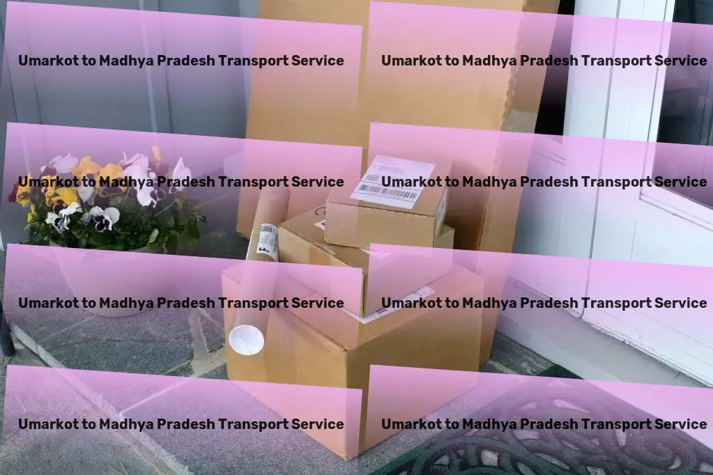 Umarkot to Madhya Pradesh Transport Nationwide goods shipment services