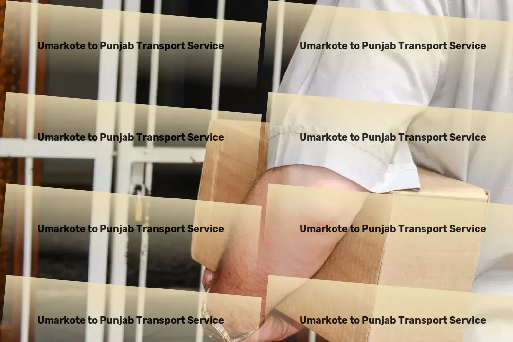 Umarkote to Punjab Transport Optimize your transport operations with our India expertise! - Major parcel delivery