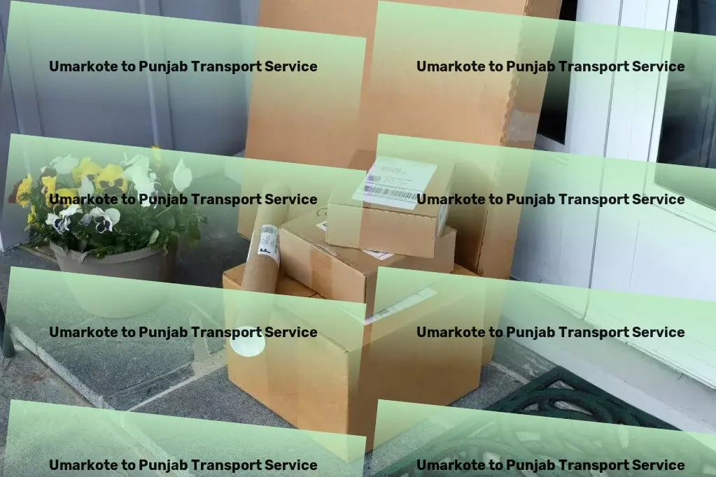 Umarkote to Punjab Transport Heavy cargo transport solutions