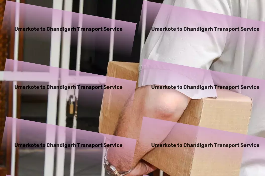 Umerkote to Chandigarh Transport Transport management services