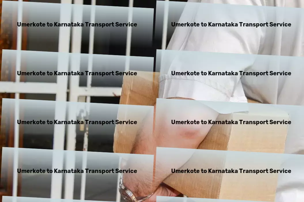 Umerkote to Karnataka Transport Direct cargo shipping solutions