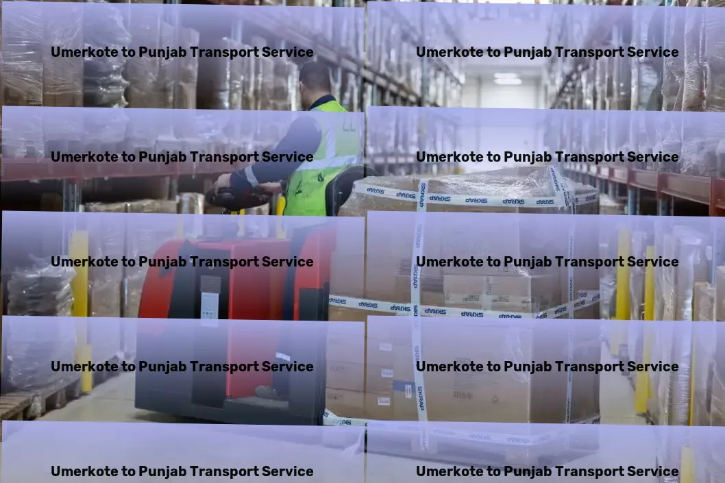 Umerkote to Punjab Transport Inter-state cargo delivery