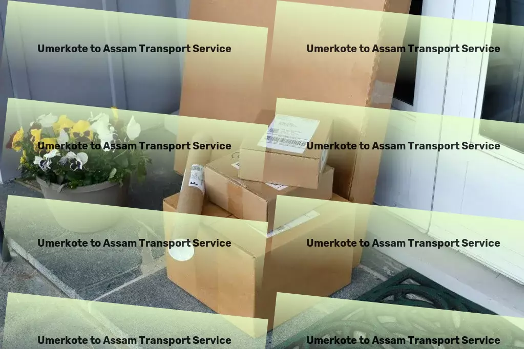 Umerkote to Assam Transport Specialized packing services