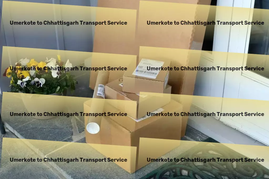 Umerkote to Chhattisgarh Transport Custom goods services