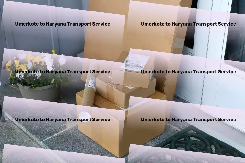 Umerkote to Haryana Transport National cargo shipment solutions